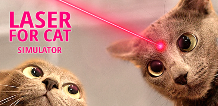 laserpen voor katten